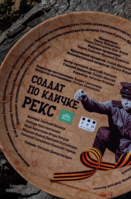 Содержание серий и сюжет сериала «Солдат по кличке Рекс» (2025), чем закончится, актеры и роли