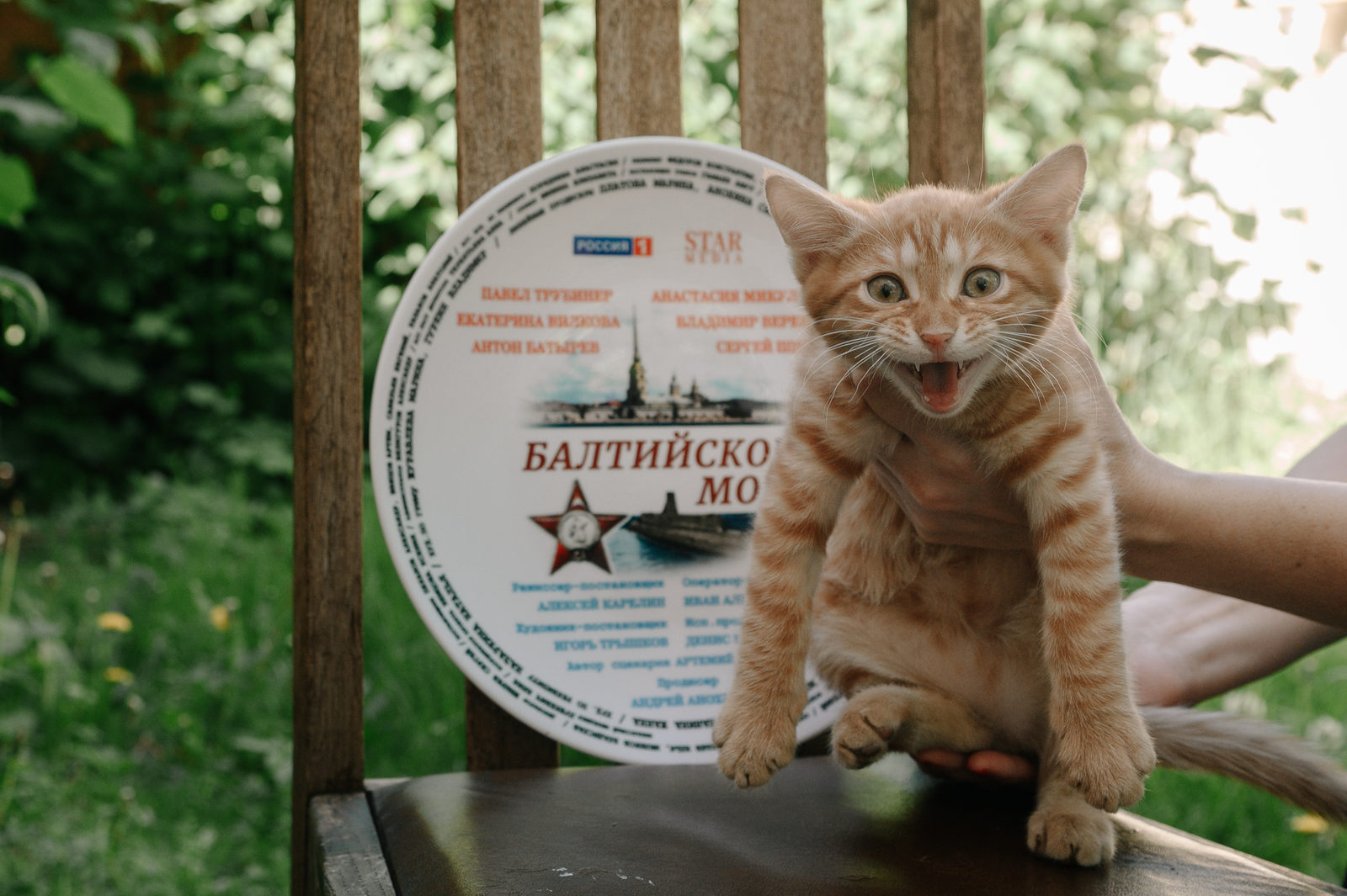 Содержание серий и сюжет сериала «Балтийское море» (2025), чем закончится, актеры и роли
