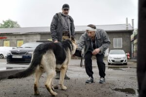 Содержание серий и сюжет сериала «Леший» (2026), чем закончится, актеры и роли